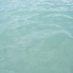 Comment spam, part 1: Don't publish these!