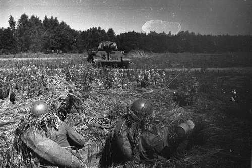 Soviet anti-tank squad hiding in tall grass.