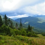 Thank you, audience, for growing