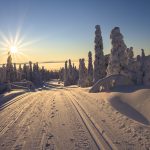 A new writing year beckons
