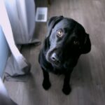 The blame game leaves questions hanging