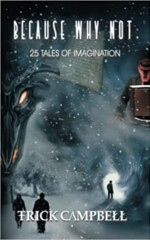 Because Why Not: 25 Tales of Imagination, by Trick Campbell cover image